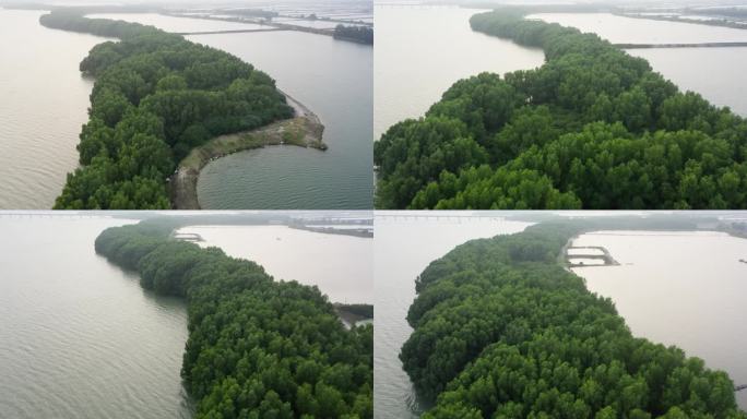 湛江红树林附近湿地的航拍