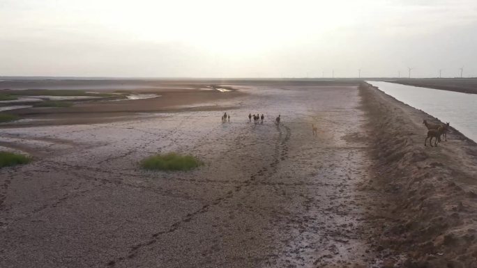 黄海湿地海边滩涂景观航拍