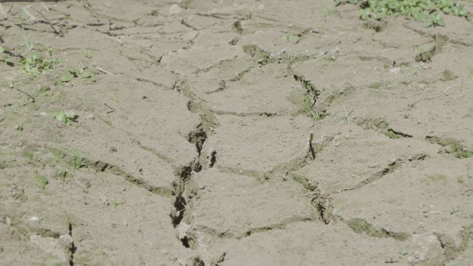 干旱开裂的河床