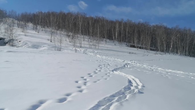 雪地行走原声空镜