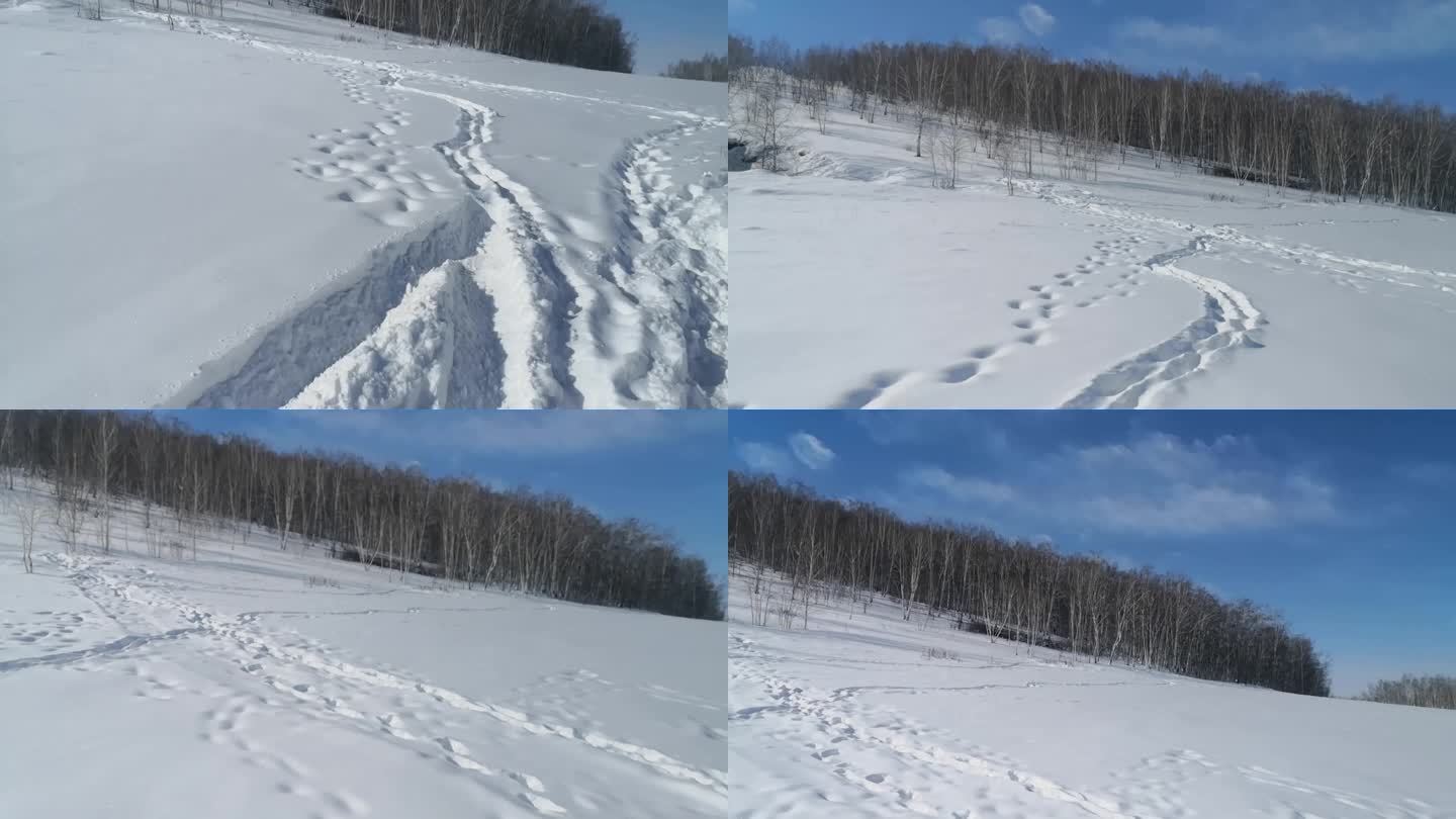 雪地行走原声空镜