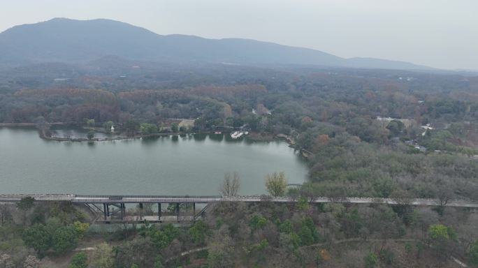 航拍南京中山植物园前湖公园