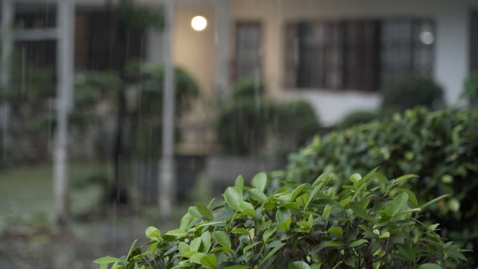 4K雨天，背景是模糊的房子，泰国清迈