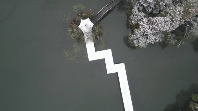 冬季风光杭州西湖浴鹄湾霁虹桥