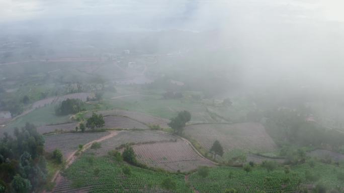 玉溪市峨山县烟草种植基地