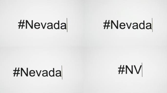 一个人在电脑屏幕上键入“#Nevada”，然后跟随州缩写