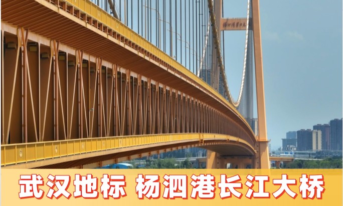 杨泗港长江大桥【14组镜头】