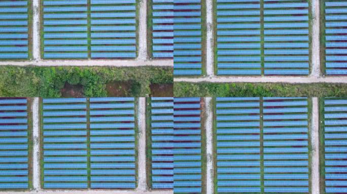带阳光的太阳能电池板农场，太阳能电池