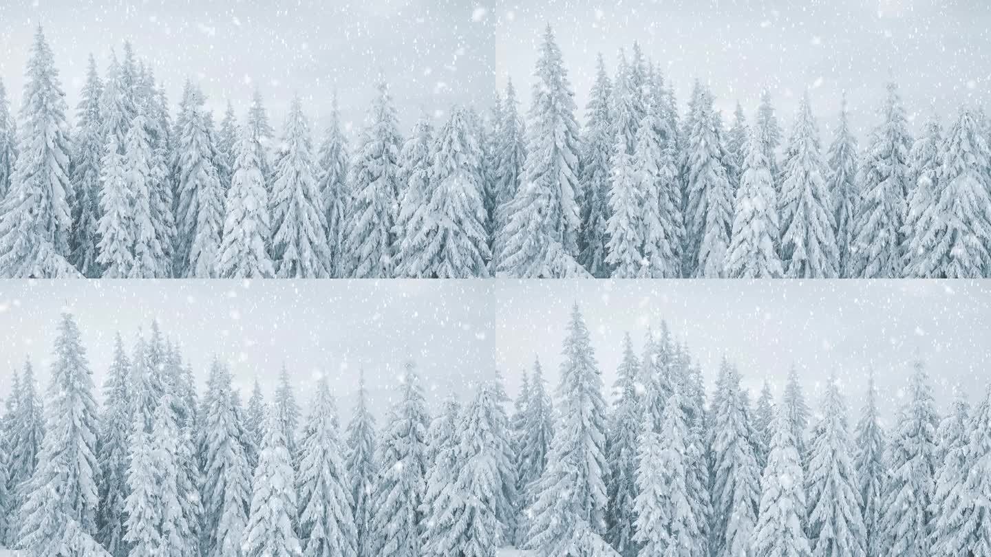 雪景45