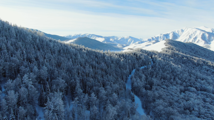 冬季雪景原始森林航拍 新疆喀纳斯雪景航拍