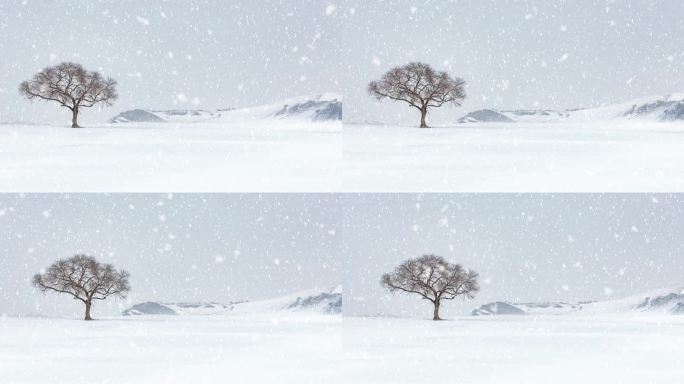 雪景21
