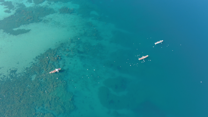 航拍泸沽湖和海鸥