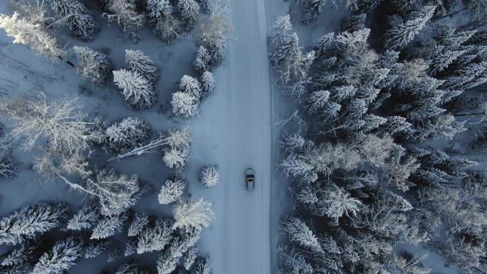 新疆喀纳斯冰雪公路 冰雪雾凇汽车航拍