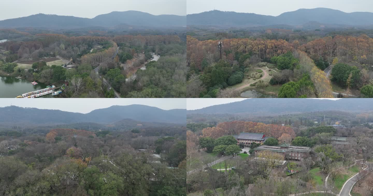 航拍南京明孝陵中山植物园