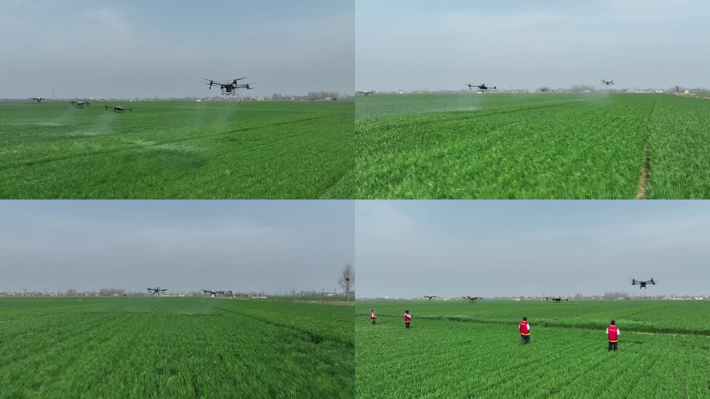 无人机植保 喷洒农药  打农药  喷农药