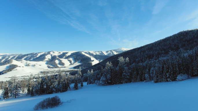 原始森林冬季雪景航拍 新疆雪景航拍