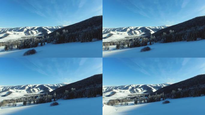 原始森林冬季雪景航拍 新疆雪景航拍
