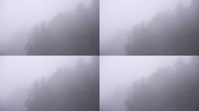 山头山顶风吹大雾云雾树林森林冷空气寒潮