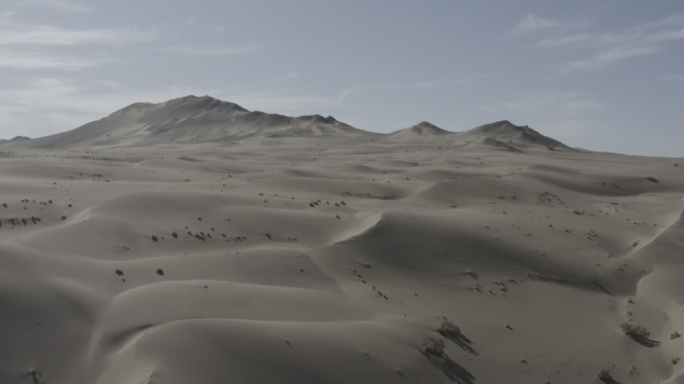 沙漠胡杨林水域，辽阔的大西北。