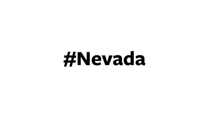 一个人在电脑屏幕上键入“#Nevada”