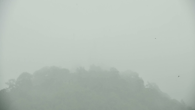 TL：伴随着暴风雨突然爆发的暴雨，山上使用了电信天线和无线技术