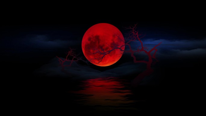 红月枯树