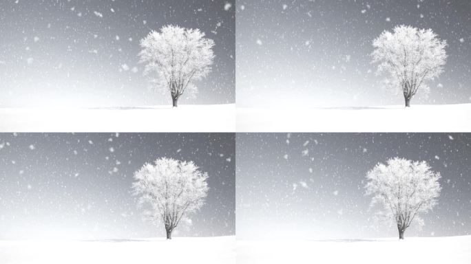 雪景5