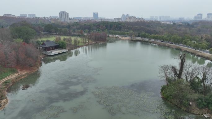 航拍南京明孝陵燕雀湖公园