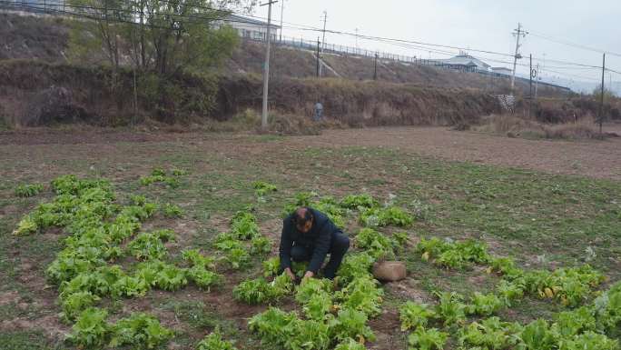 田间地头干农活2