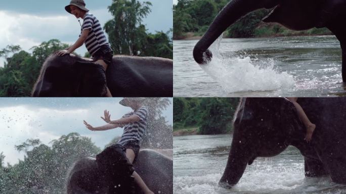 泰国河流中骑大象的女子