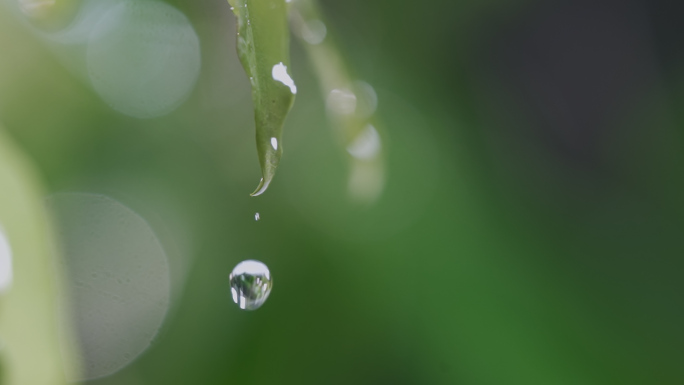 水滴雨滴水珠