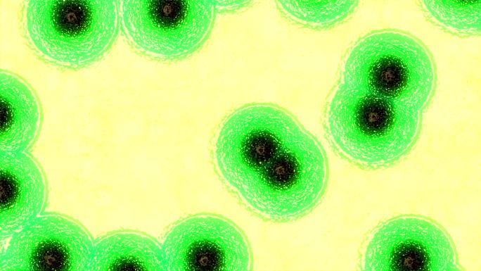 病毒细胞绿色融合危险