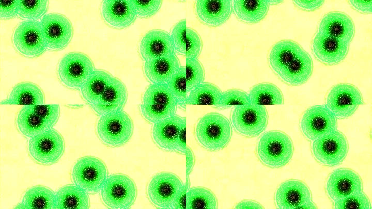 病毒细胞绿色融合危险
