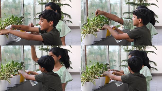 兄弟姐妹用喷雾瓶浇灌室内植物