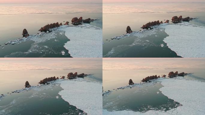 航拍大连排石海冰