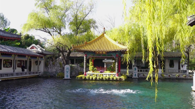 济南市趵突泉景区游客旅游视角实拍4K视频
