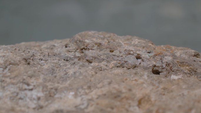 方解石碳酸岩稀土矿矿石近景展示
