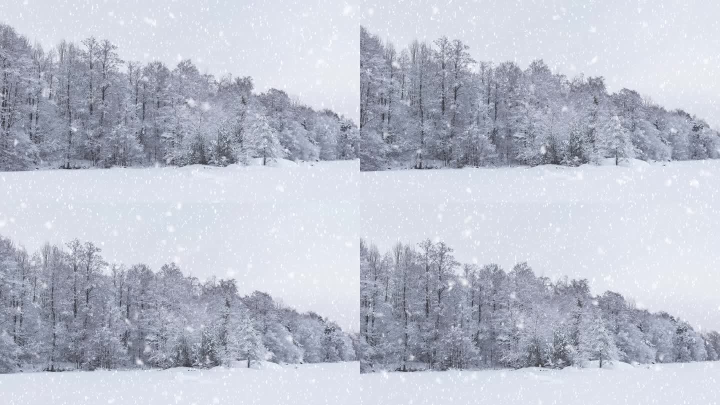 雪景53