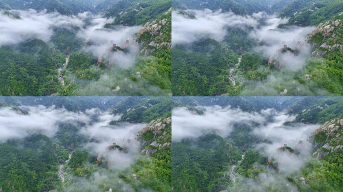 空灵崂山北九水云海