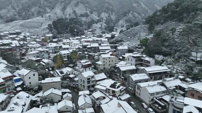 杭州梅家坞雪景