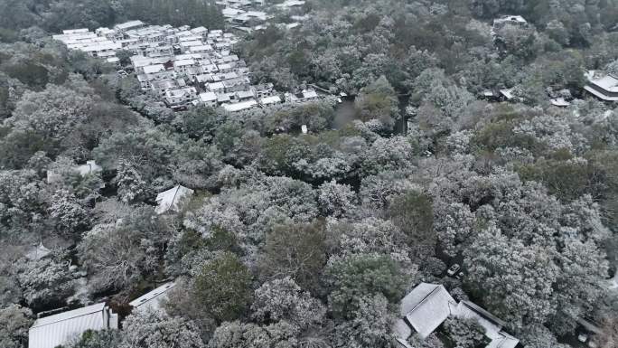 杭州玉皇山雪景