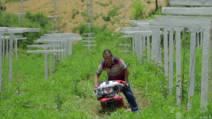 农业割草机割草实拍素材1080p