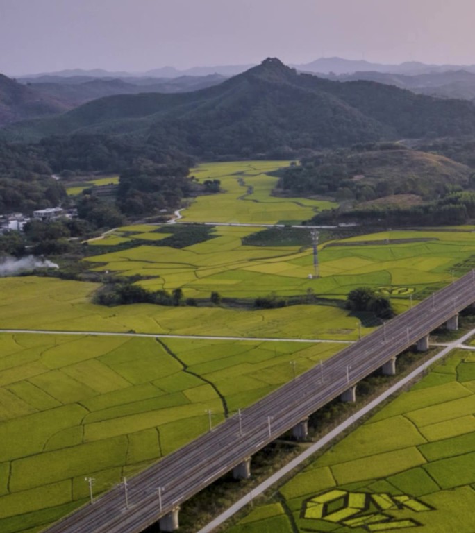 高清竖屏延时航拍宾阳古辣稻田黄昏风光