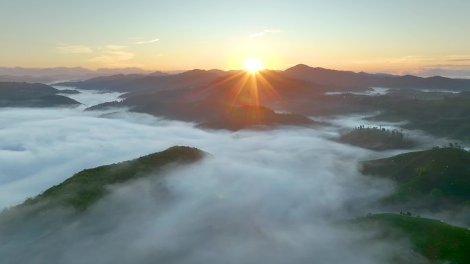 航拍云雾中的茶山