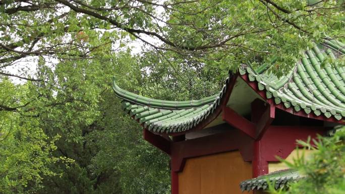 风景，林中小屋，林荫小道