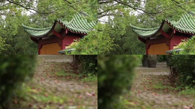 风景，林中小屋，林荫小道