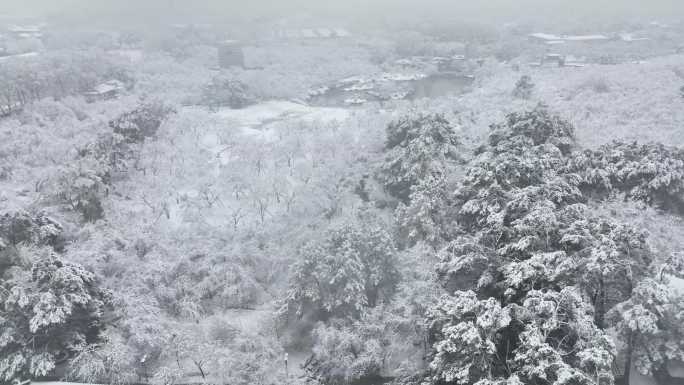 武汉东湖磨山樱花园航拍雪景风光