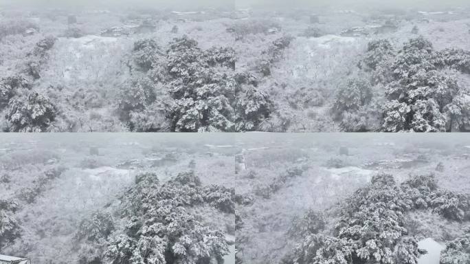 武汉东湖磨山樱花园航拍雪景风光