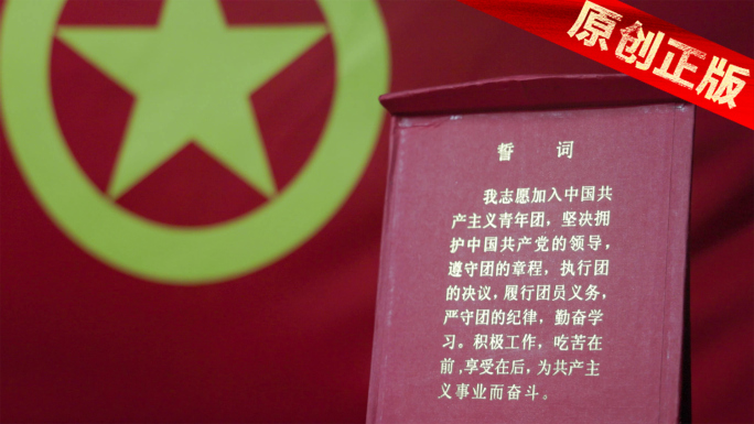 4K中国共产主义青年团 共青团党政党建