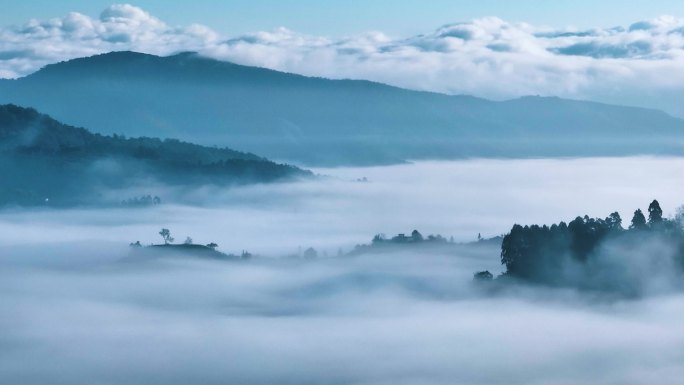 航拍云雾中的茶山